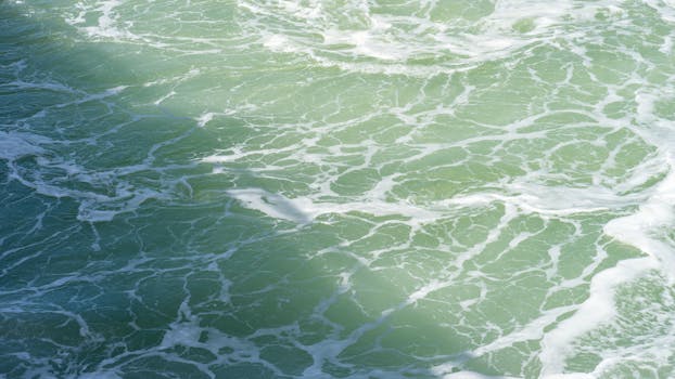 白天的海浪宁静，与复杂的绿色海洋泡沫图案交织成景