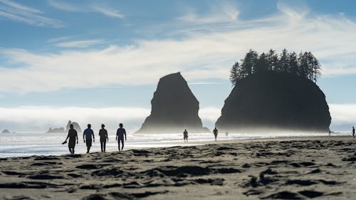 Free People Walking on Seashore Stock Photo