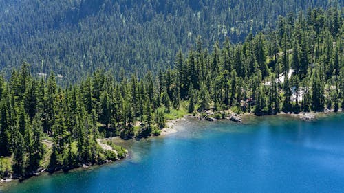 Безкоштовне стокове фото на тему «берег озера, відпочинок, вічнозелений» стокове фото