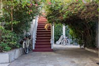 庭院里很舒适，台阶上有一只猫，旁边停着自行车，四周是郁郁葱葱的绿植