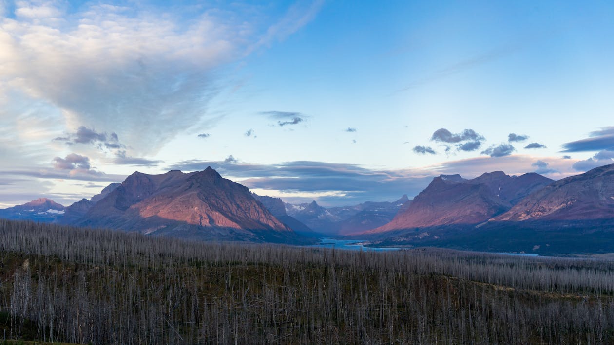 Brown Mountains