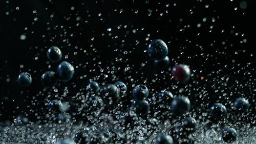 Close-Up Photo of Blueberries in Black Background