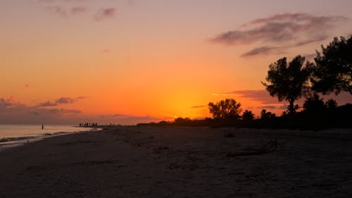 Foto d'estoc gratuïta de capvespre, Florida, oceà