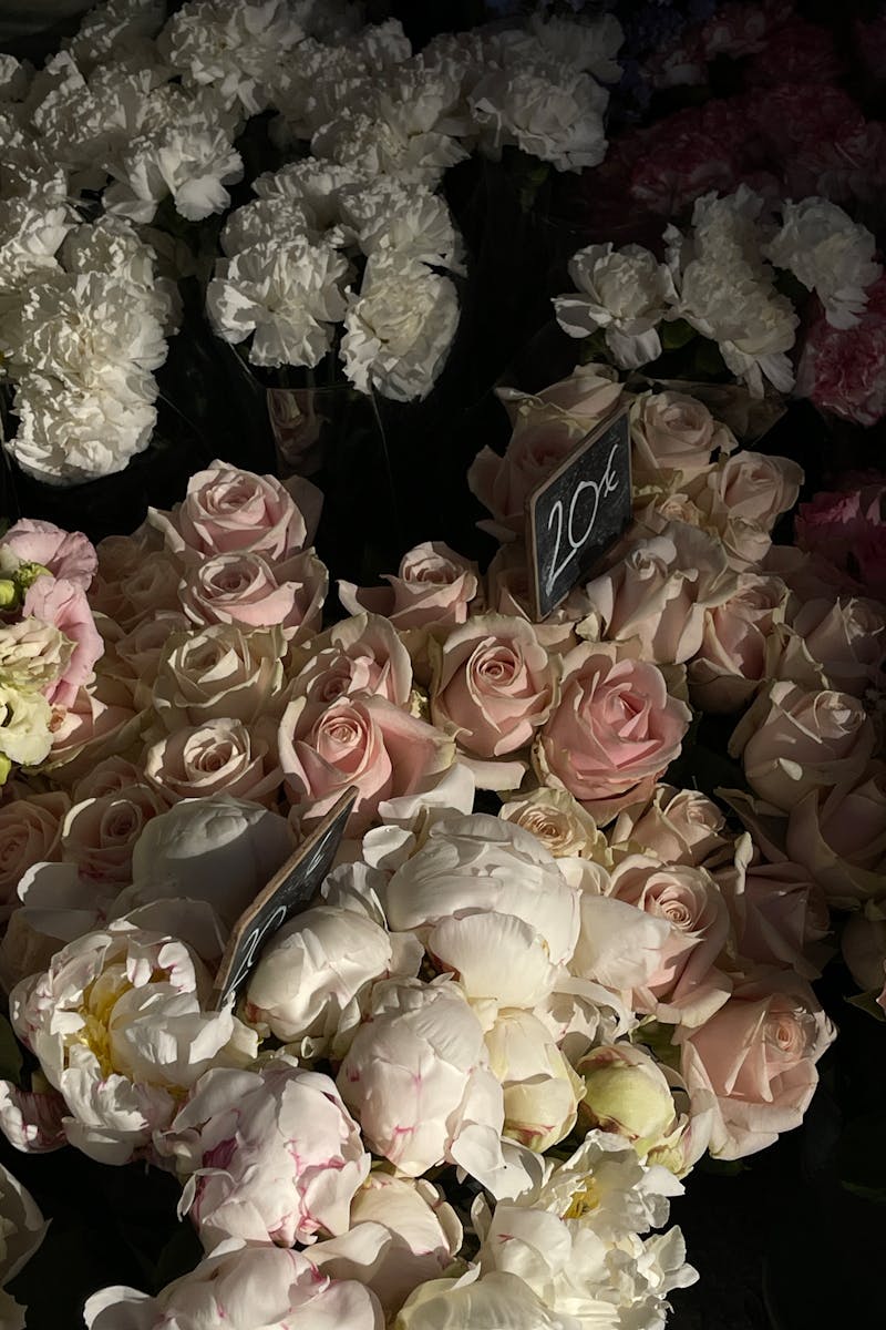 20 Little Ways to Stop and Smell the Roses