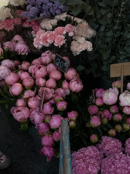 A bunch of pink and purple flowers are displayed