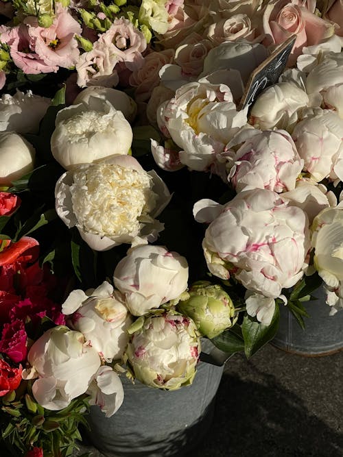 Photos gratuites de amour, bouquet, composition florale