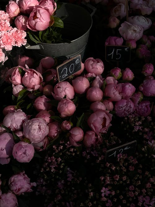 A bunch of pink peonies are displayed in a market