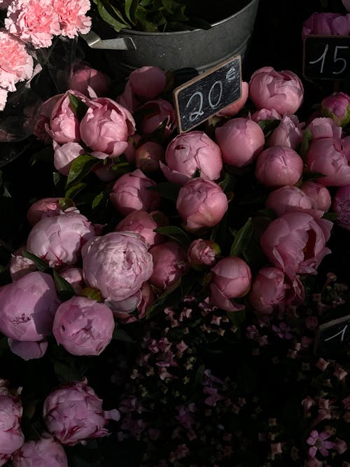 A bunch of pink peonies are displayed at a market