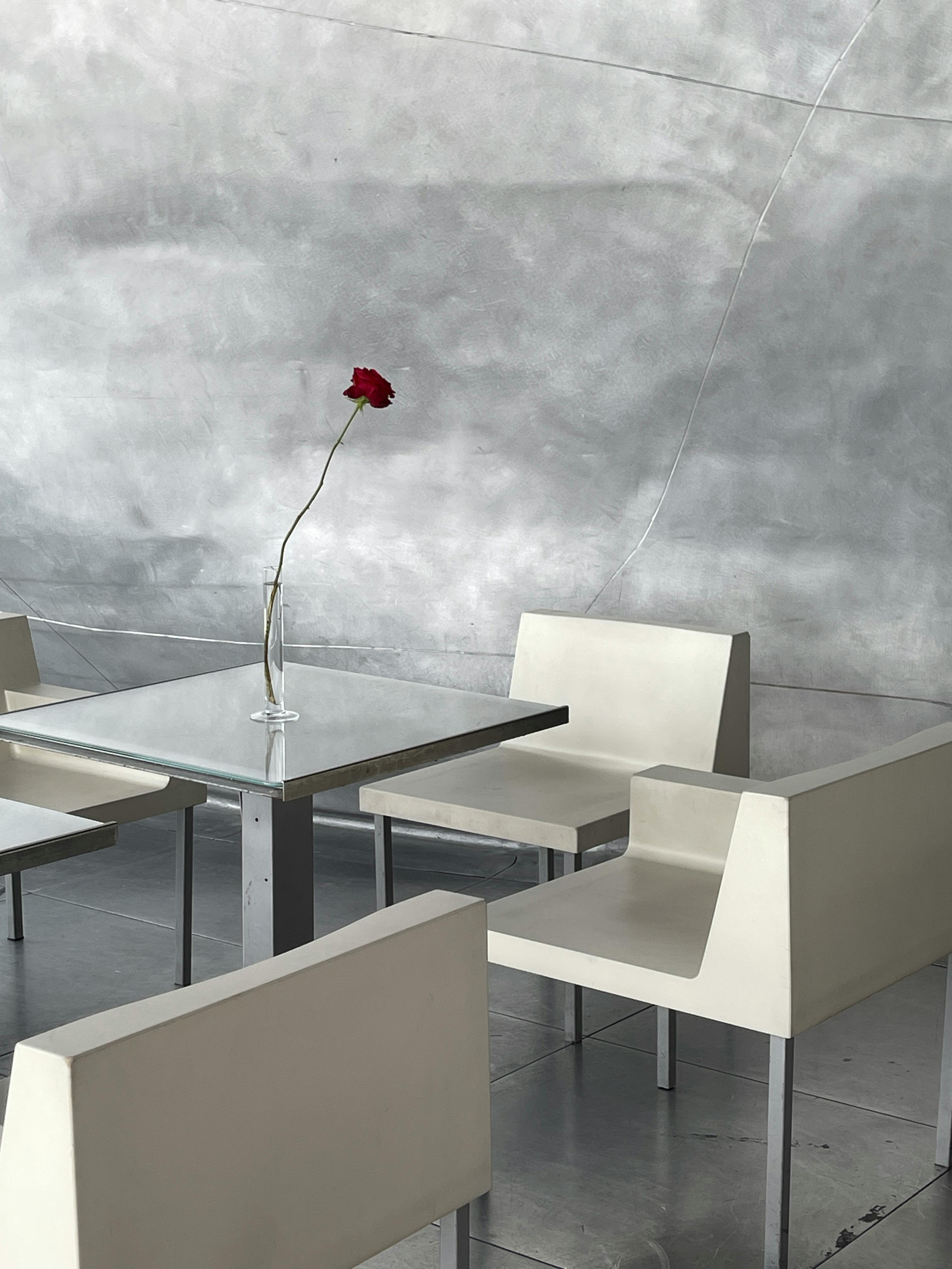 Minimalist interior with a single red rose on a glass table, surrounded by white chairs.