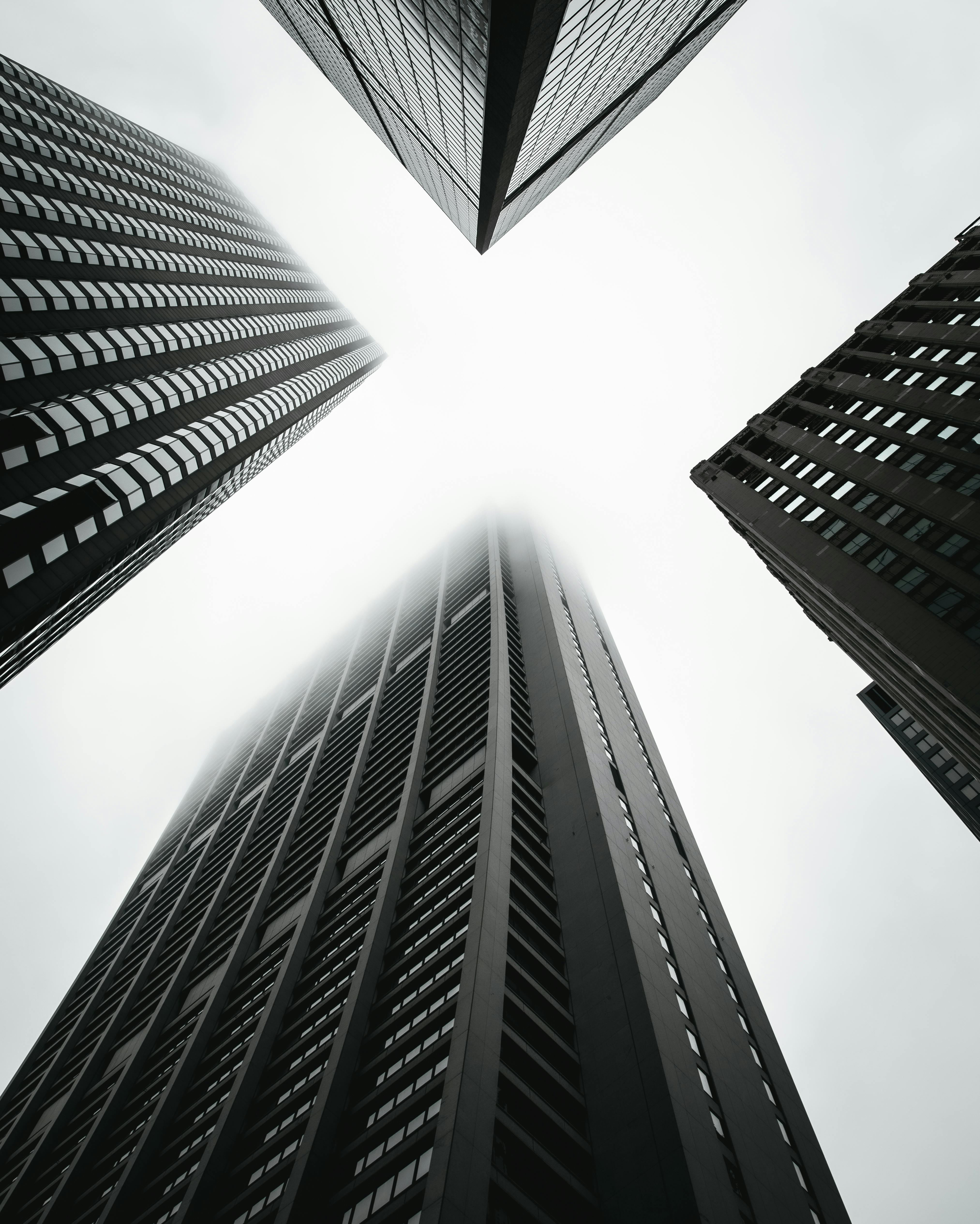 monochrome photo of high rise buildings