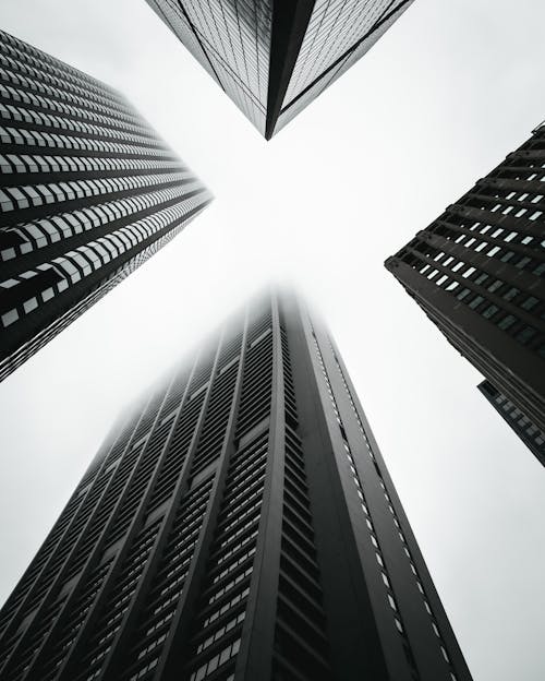 高层建筑的单色照片