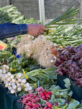 Alimenti sani per il controllo glicemico