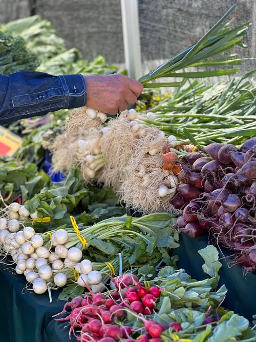 Free A man selects fresh turnips and radishes at an outdoor farmers market, showcasing organic produce. Stock Photo