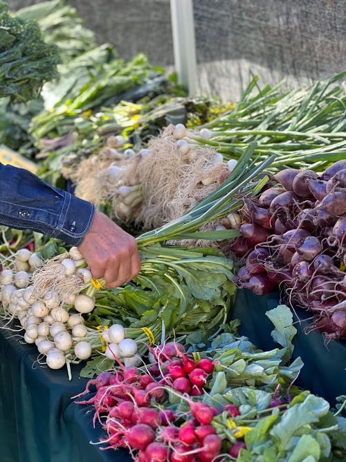 Free Vibrant selection of fresh vegetables on display at an outdoor market stall. Stock Photo