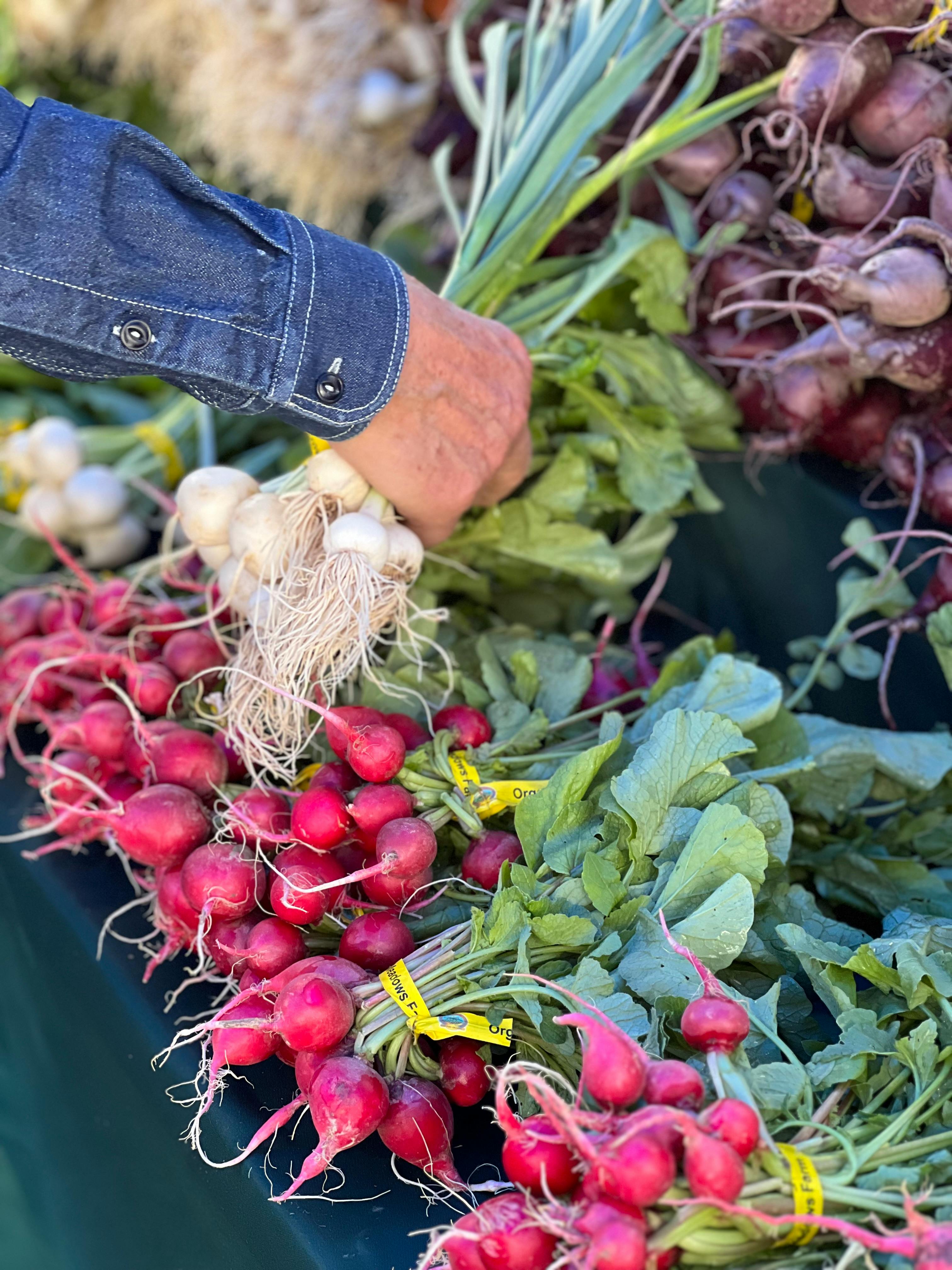 A man in a denim shirt picks fresh radishes at an outdoor vegetable market.