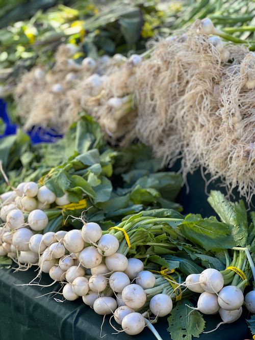 Free Close-up of fresh radishes with roots and greens on display at a market. Stock Photo