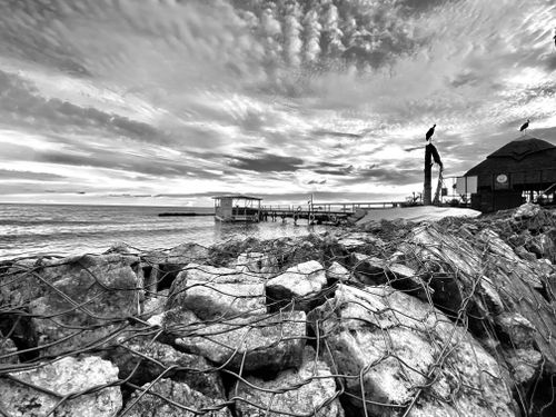 Free pier  Stock Photo