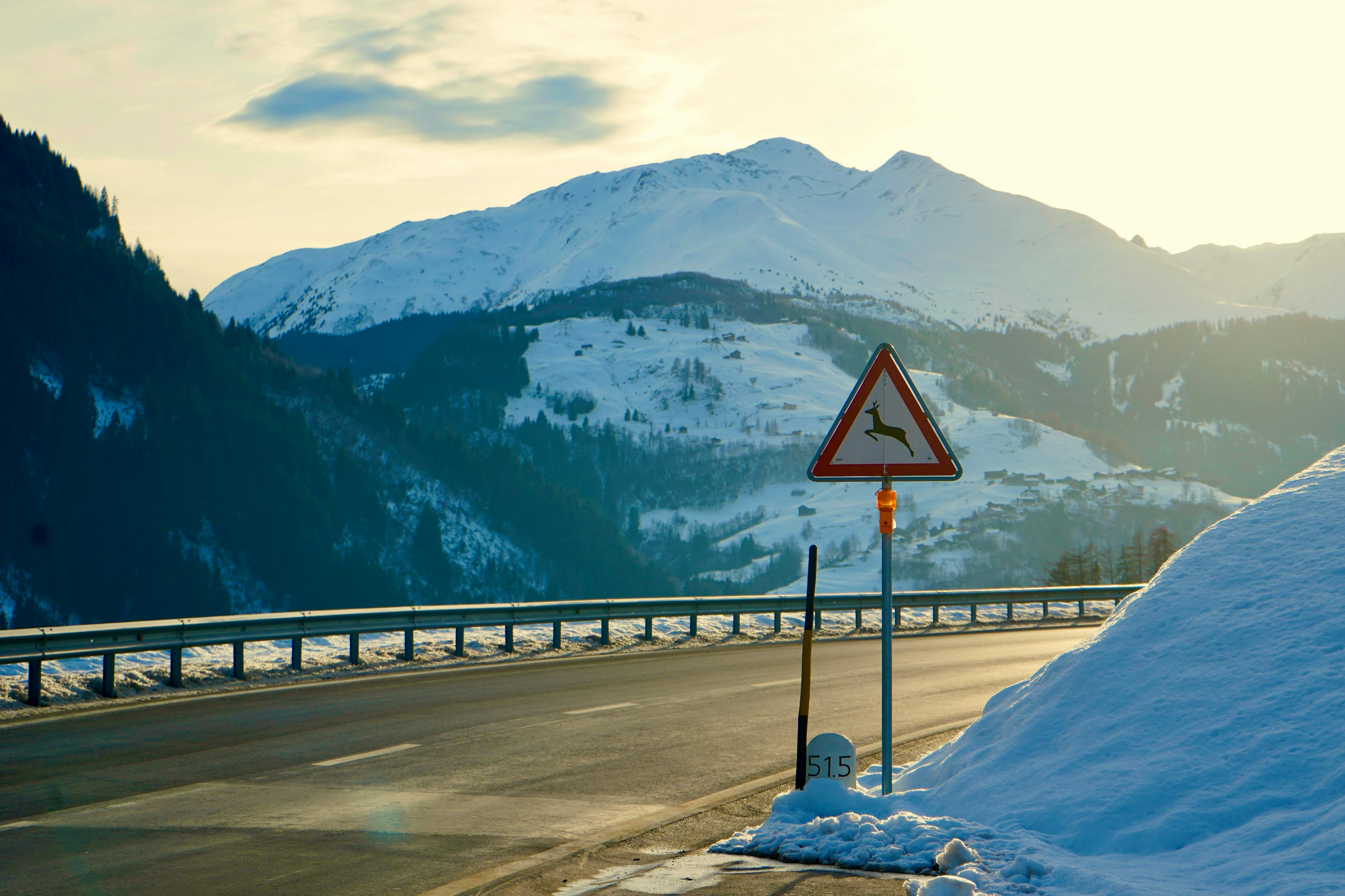 When AI Gets It Wrong: A Warning for Travel Agents — Photo by Thomas Forsberg on Pexels