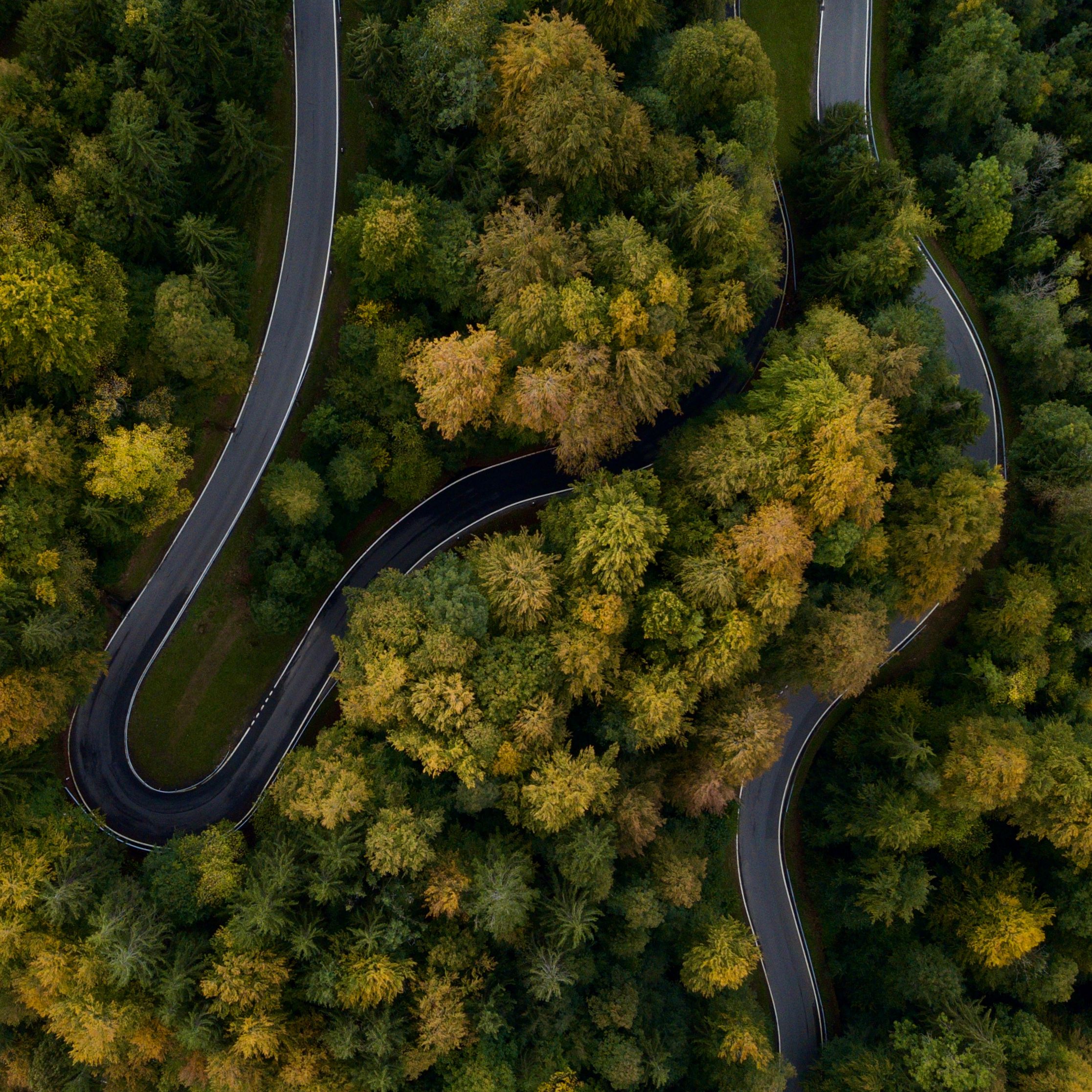 深呼吸一口好空氣 🌲 #自然 #nature