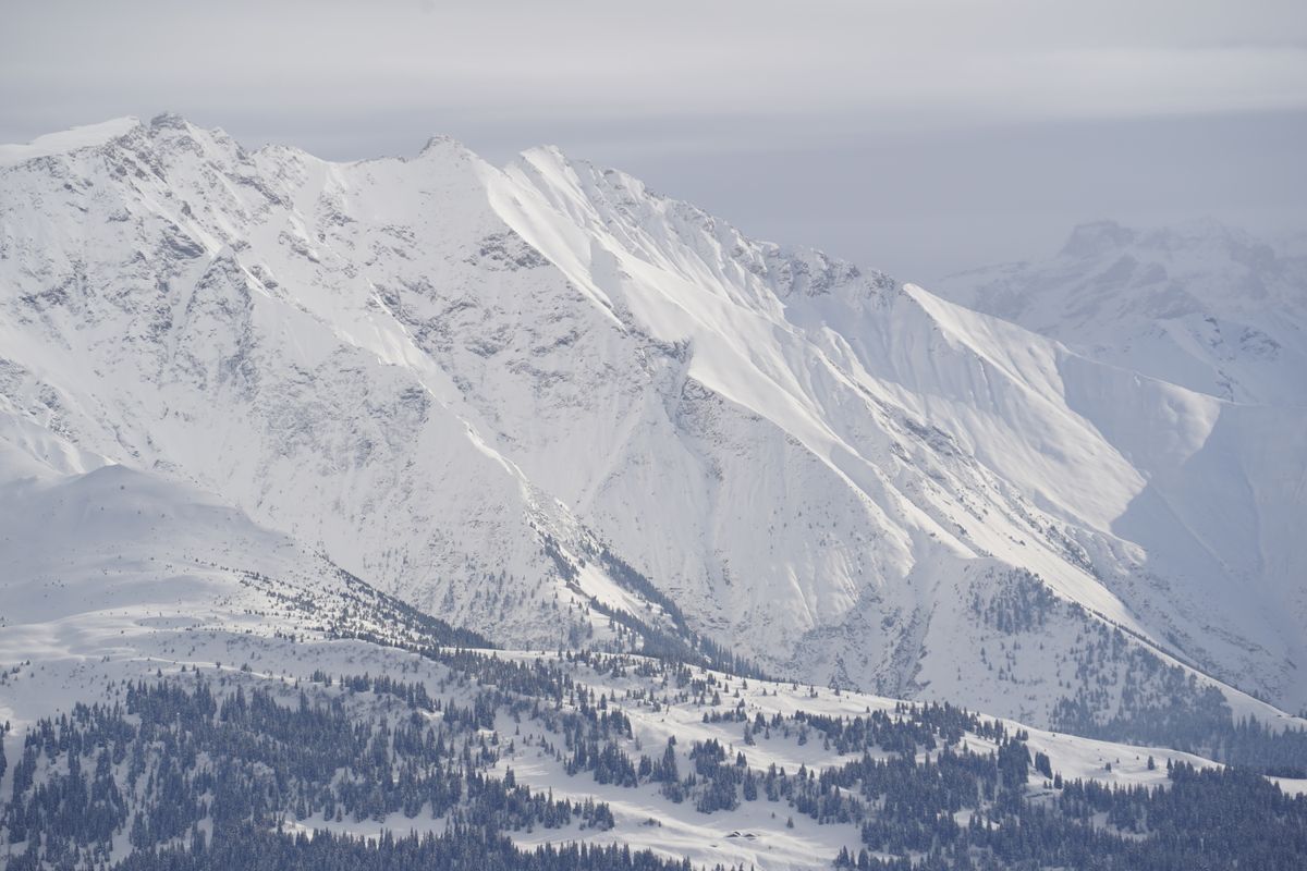 Large bol de neige vide sous une ligne de crête avec des bois sombres le long du fond de la vallée