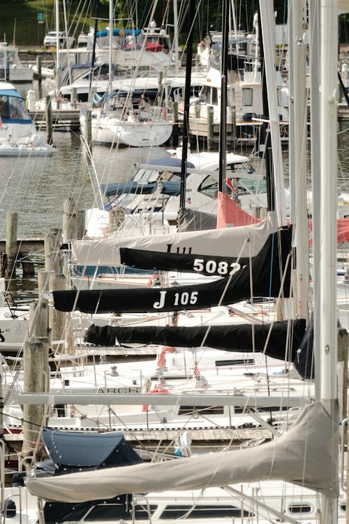 Busy Marina