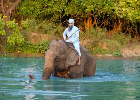 A man in traditional attire rides an elephant across a river in Maksudra, India.