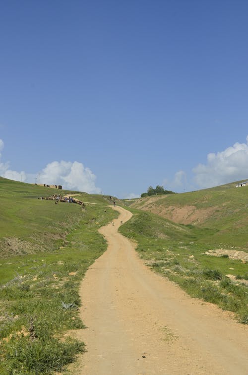 A dirt road leading to a hillside with grass and trees