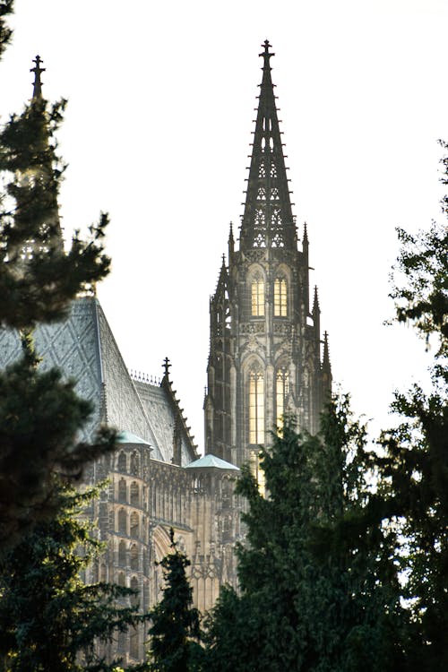 A large cathedral with spires and trees in the background