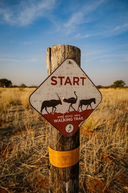 Emerging Trends Affecting How to Start Trading in 2025