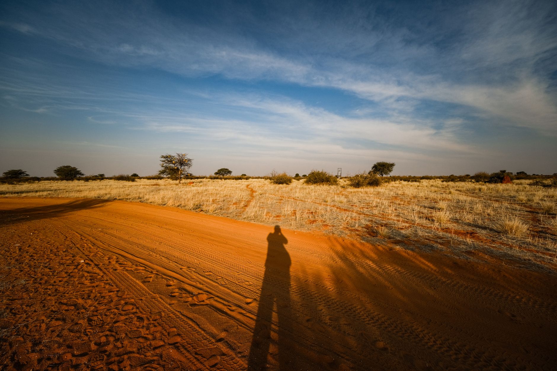 A shadow stretches across a dirt road in a sunny, arid savanna with sparse vegetation.