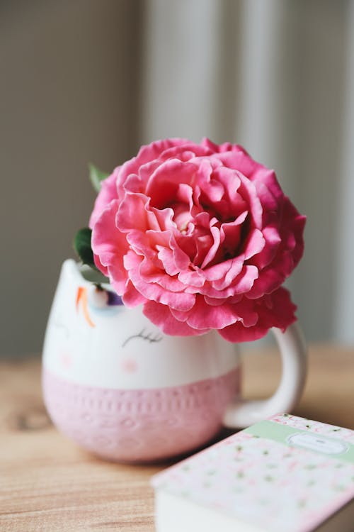 A pink flower in a mug with a book