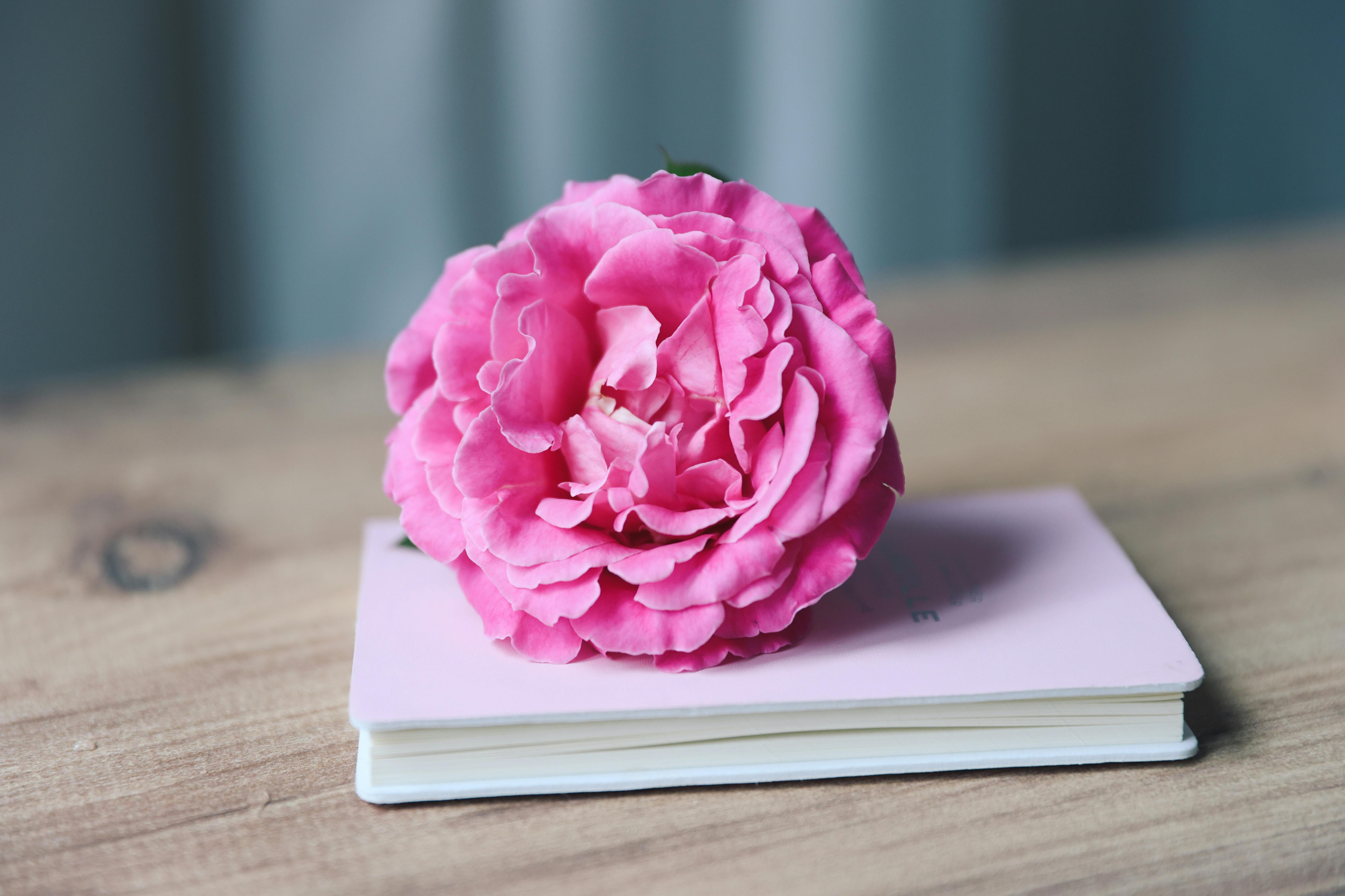 King Stephen On Writing A Memoir Of The Craft (2000)