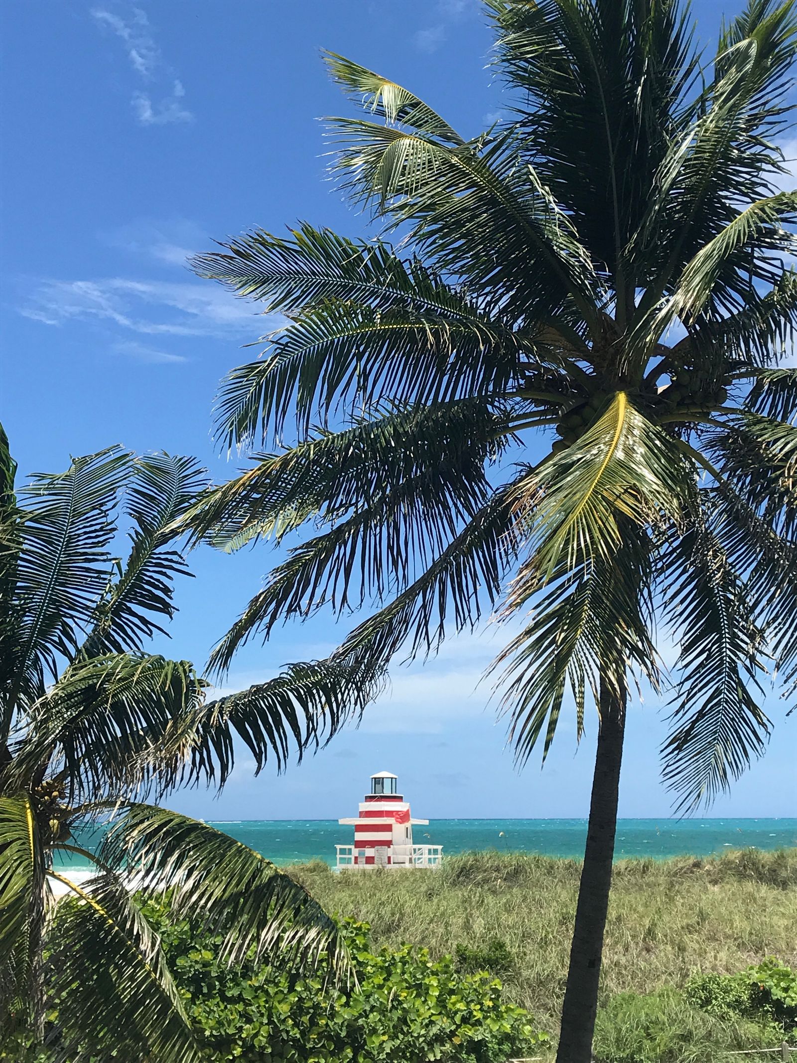 Lifeguard hut and palm trees on South Beach, Miami