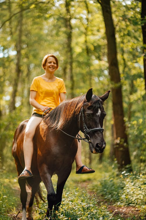 Free Photo of Woman Riding Horse Stock Photo