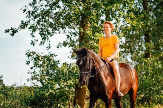 Photo of Woman Riding Horse Near Tree