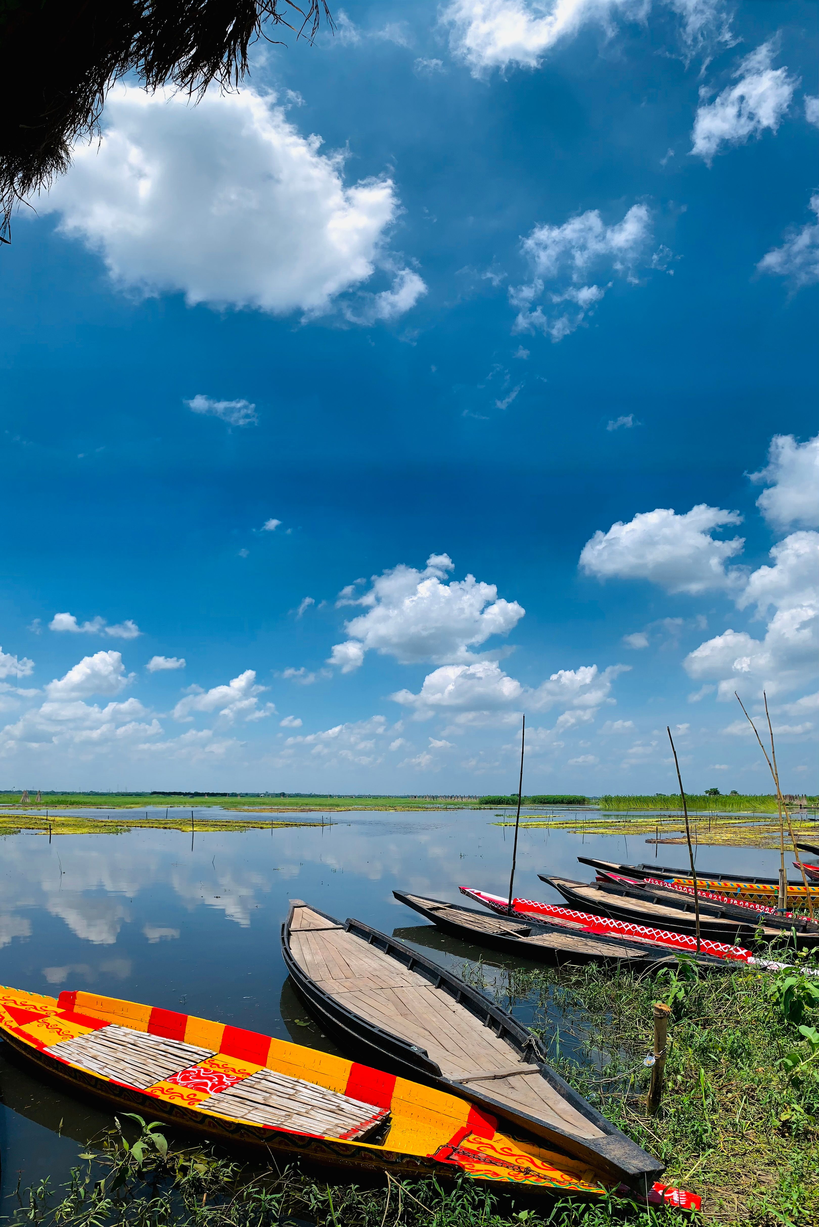 Vibrant canoes moored on a tranquil lake in rural India under a clear summer sky.