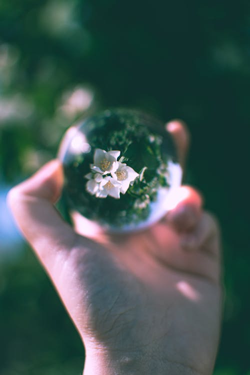 Free Person Holding Lensball Stock Photo