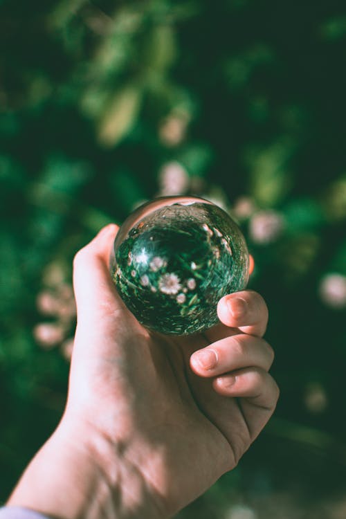 Person Holding Clear Ball 