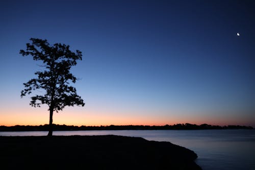 斯坦福德, 日出, 早上 的 免費圖庫相片