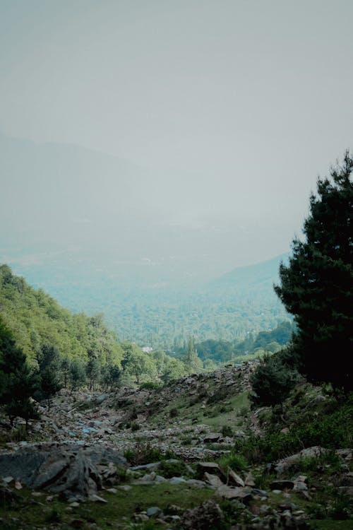 Foto d'estoc gratuïta de a l'aire lliure, aigua, alba