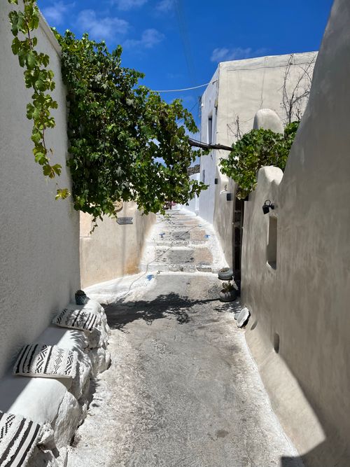Free Explore a sunlit narrow alley in a traditional Greek village, featuring whitewashed walls and lush greenery. Stock Photo