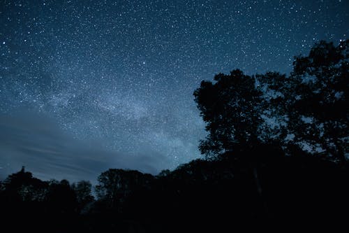 Бесплатное стоковое фото с galaxy, Астрономия, дерево