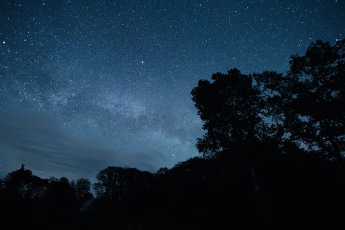 Free A stunning view of the starry night sky with tree silhouettes in Bristol, ME. Stock Photo