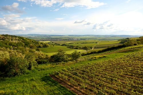 Free A scenic view of green fields and rolling hills under a sunny sky, perfect for nature lovers. Stock Photo