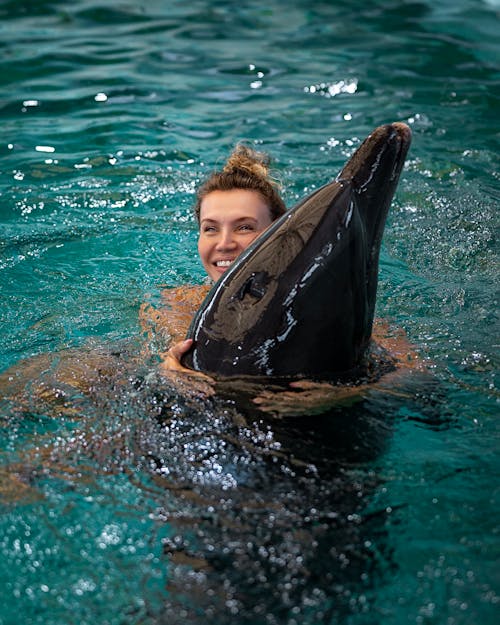 Foto profissional grátis de ação, água, baleia