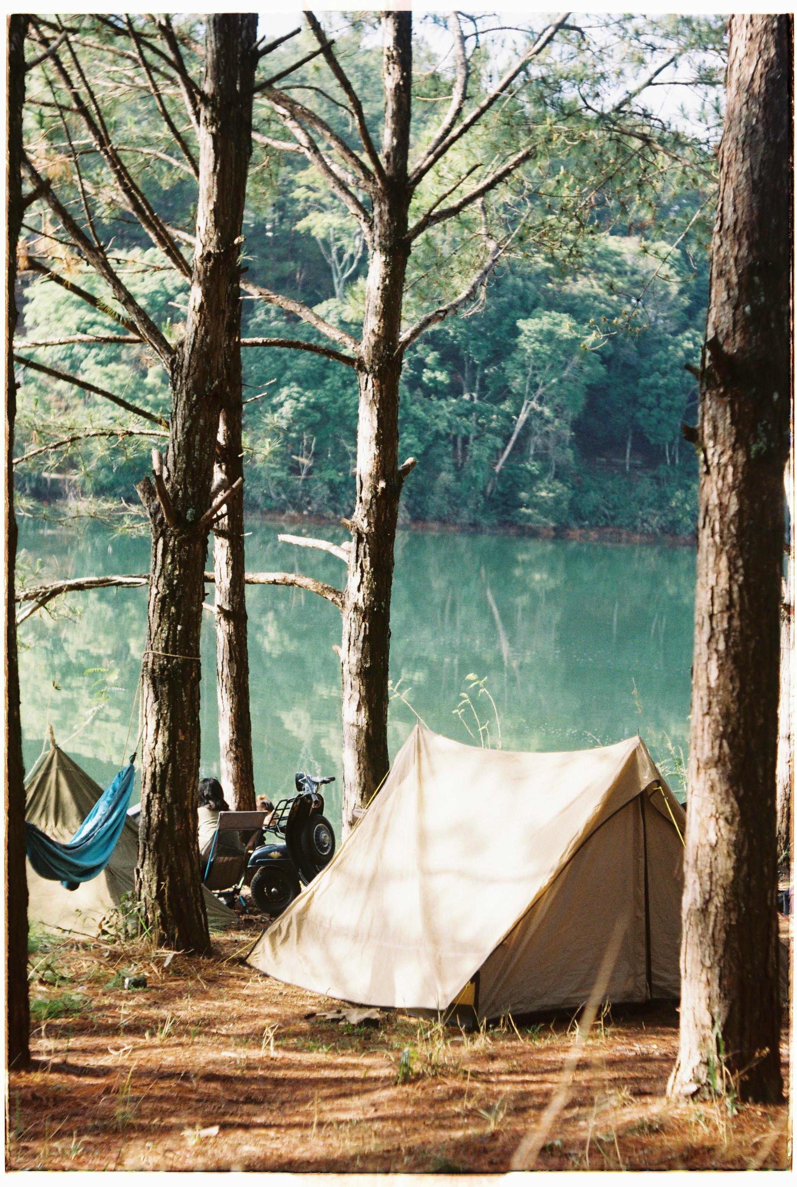 Peaceful lakeside campsite with tent and hammock among trees, ideal for outdoor adventures.