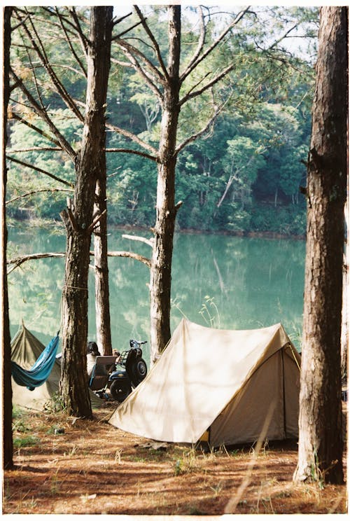 A tent is set up near a lake with trees