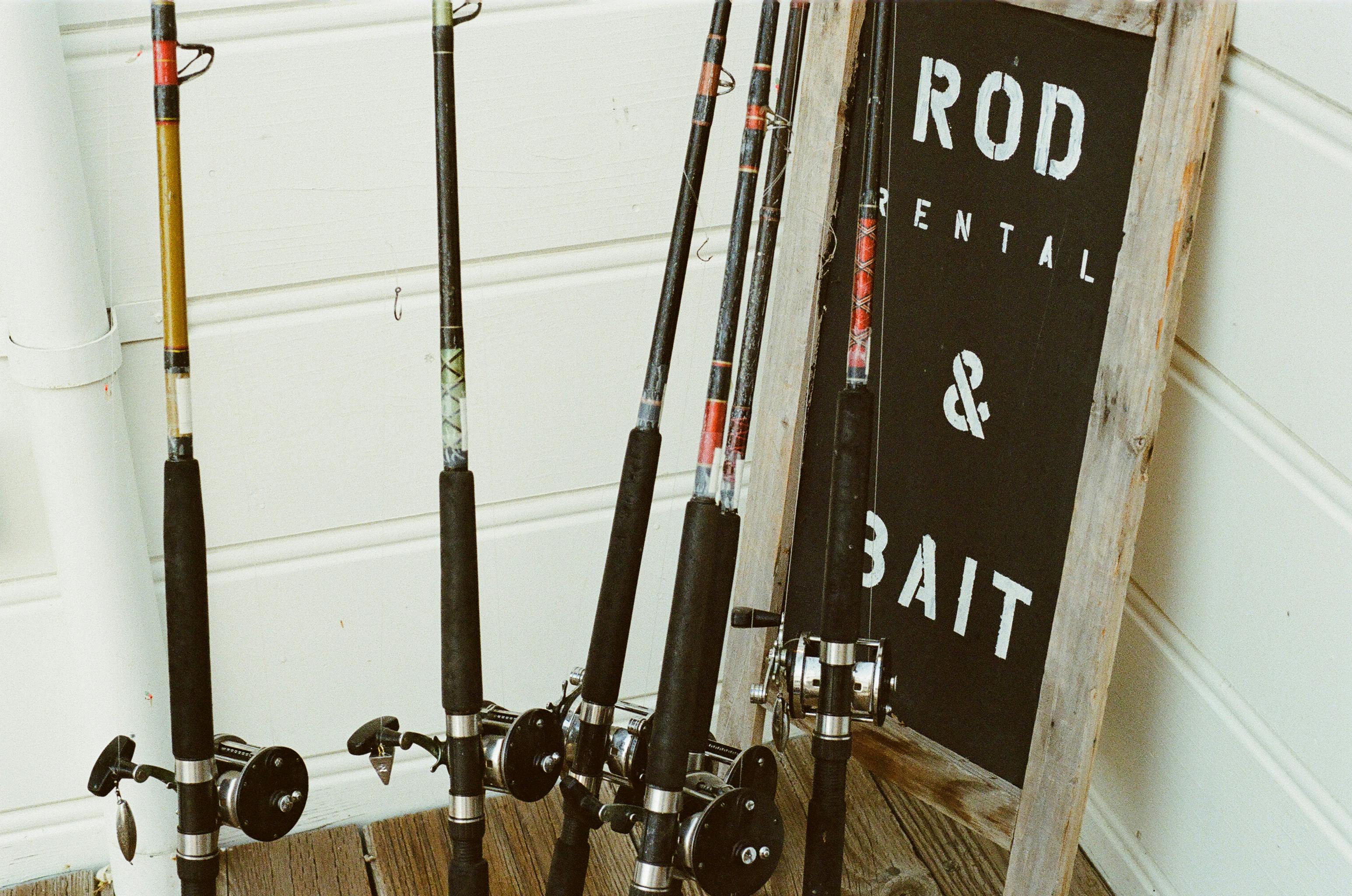 Six Assorted Fishing Rods Beside Rod Rental & Bait Signage · Free Stock  Photo