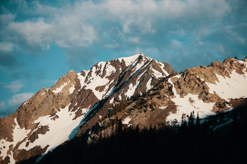 Trees Near Mountain