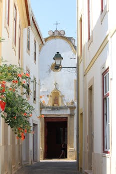 一条狭窄而美丽的小巷，设有历史悠久的教堂立面，盛开着鲜花，散发着建筑魅力